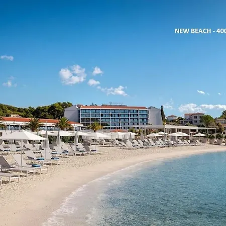 Appartement Evergreen & Pinky Close To The *