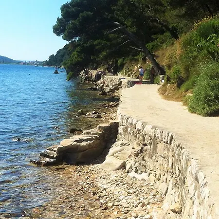 Appartement Evergreen & Pinky Close To The *