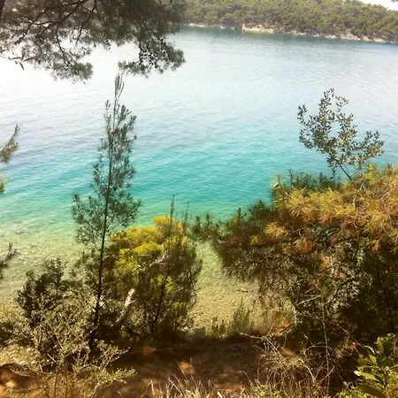 Evergreen & Pinky Close To The Rab Town