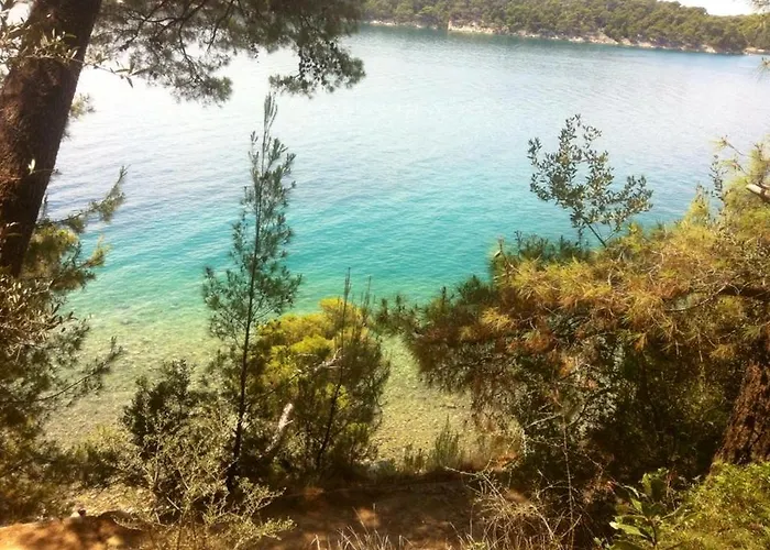 Evergreen & Pinky Close To The 拉布